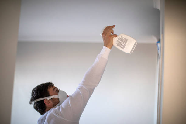 Best Basement Mold Remediation in Lapeer, MI